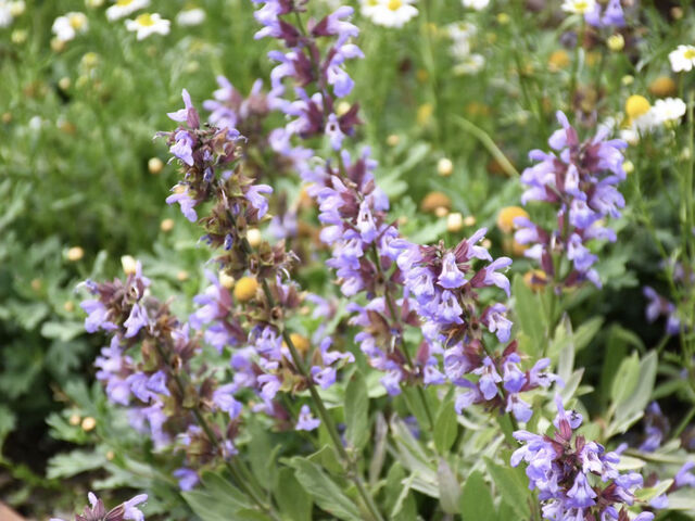 �Y��Ȃ��Ԃł��I_�[����͔ȍL��i�z���C�g�K�[�f���j