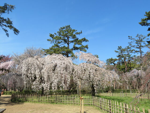 ���s�䏊_���s�䏊