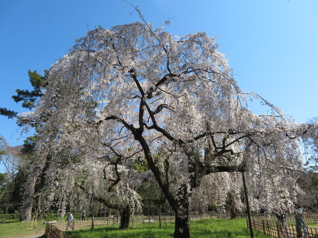 ���s�䏊_���s�䏊