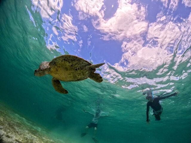 �E�~�K���ƈꏏ�Ɏʐ^�B��܂����I_�V���m�[�P���c�A�[�@��`��