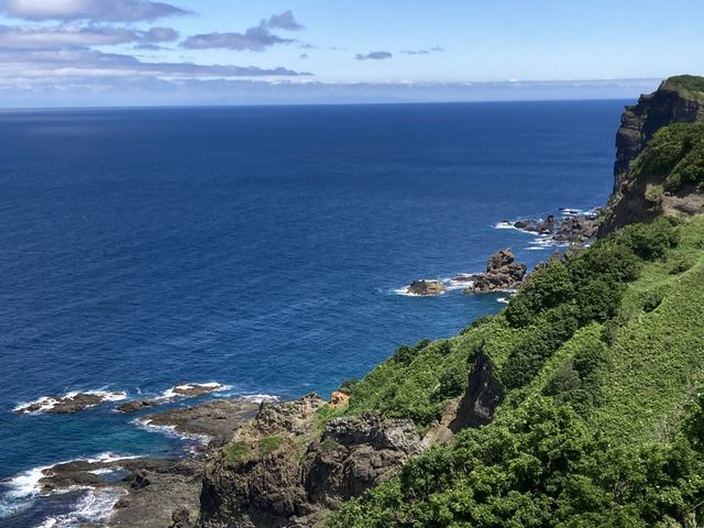 �����猩���C_�_�Ж�