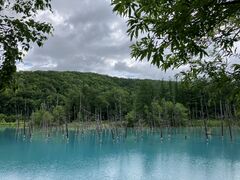 }b`Field Mountain Earth Rideւ̓eʐ^1