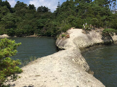 ؁[̐AEghAZ^[ւ̓eʐ^1