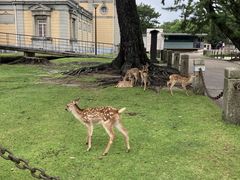 sbs̓ޗǍقւ̓eʐ^1