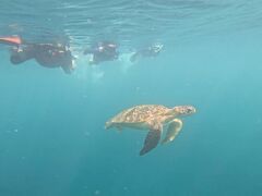 ou|SHISHIΊ_ւ̓eʐ^1