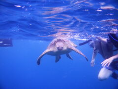 JBOY����̐Ί_�}�j�A�ւ̓��e�ʐ^1