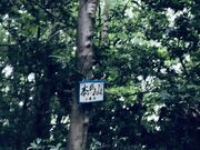 �����ڂ�����̐{��_�Ђ̓��e�ʐ^5