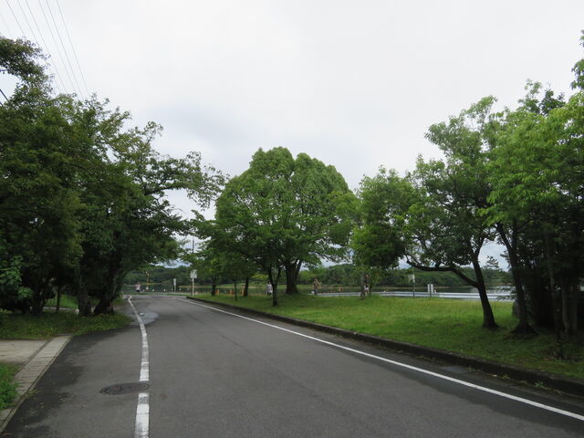 �O�D�����@���̃g�����R�[�X_�O�D����