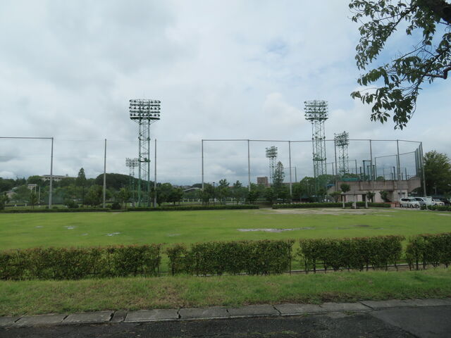 �O�D�����@�싅��_�O�D����