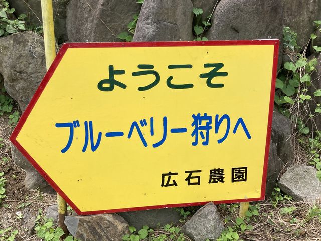 ���ԏꂩ��x���[���ւ̓r���ɂ���Ŕ�_�L�Δ_��