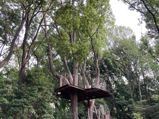 �z�y�̐X�̃c���[�n�E�X
�u�₩�ȕ��ƒ��]���ō��B_�z�y�̐X