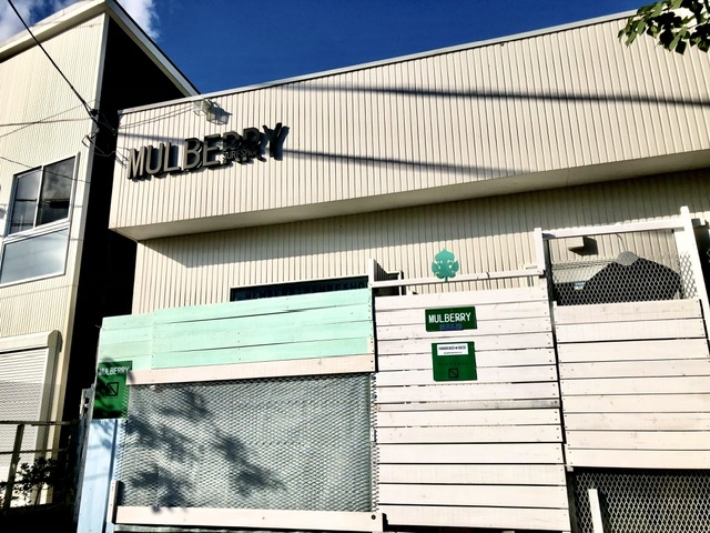 �}���x���[�T�[�t�����_MULBERRYSURF