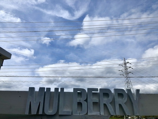 �Ŕ�_MULBERRYSURF