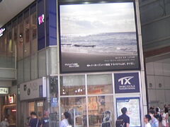 �T���v������̃����H�t���̓��e�ʐ^