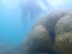 񂳂nico {Óւ̓eʐ^1