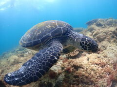 ݂Divers Cafe&Bar 7meւ̓eʐ^1