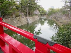 ���ڂ炳��̉�������ւ̓��e�ʐ^1