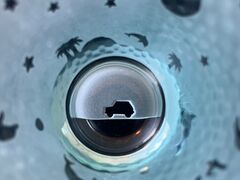 ROSE GLASS GALLERY̎ʐ^2