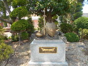 gV[̏F{A`UXNGA̓eʐ^1