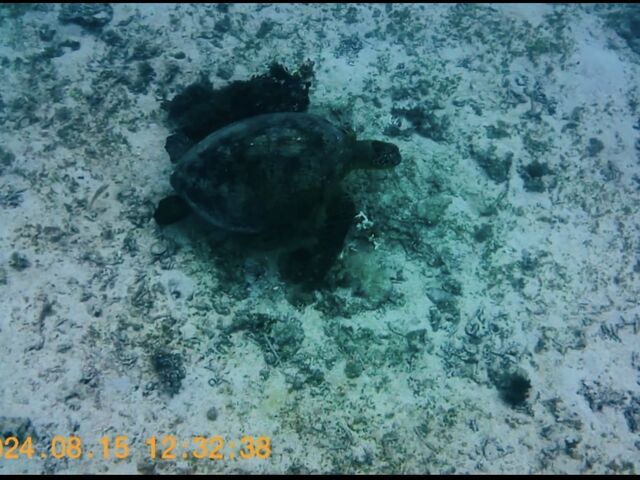 �E�~�K���X�|�b�g�ɘA��Ă����Ă��炢�܂����B_�J�Y�{�@�T�[�t�A���hSUP