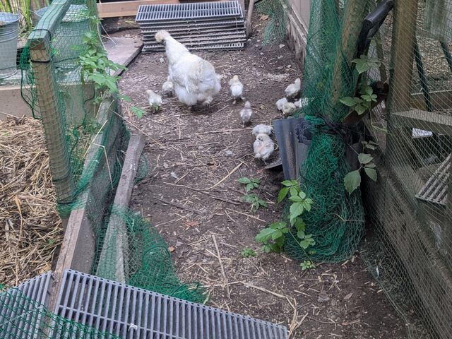 ���킢��_�G�i�x�[�X