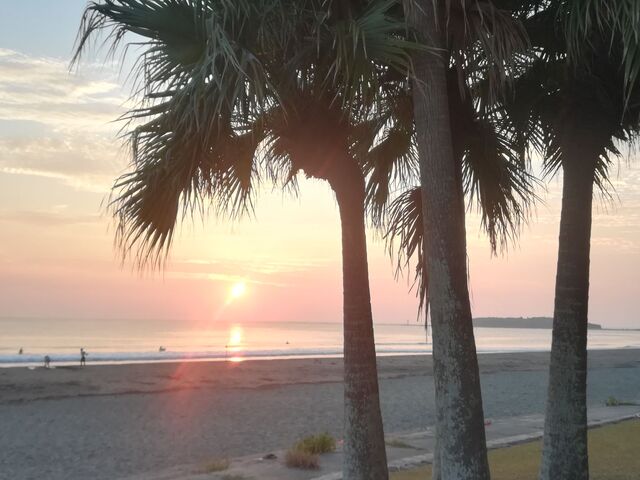 �������ƂĂ��L���C�ł����B_�`�m�`�z���f�C�E�C�� ���]�[�g�{��