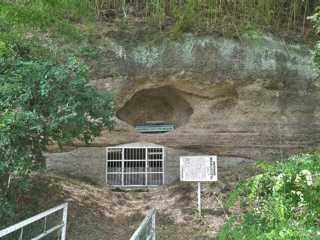 sklfh̊⑺cqJSPn̓eʐ^1