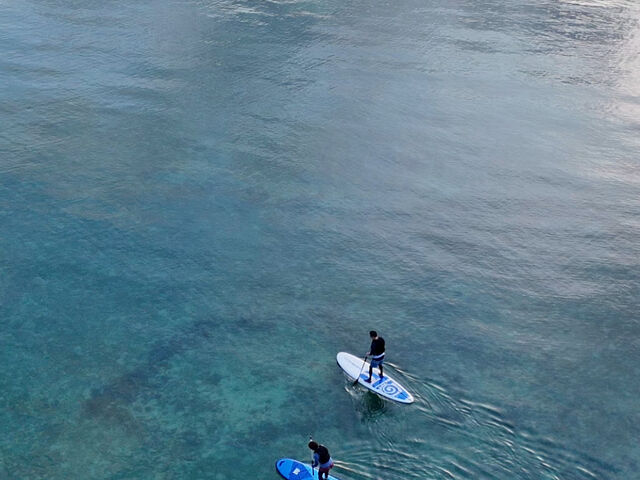 �h���[���ŎB�e_�Ί_�� ����t�H�g�c�A�[ MONDO PIECE