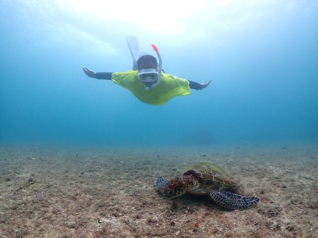 ���H�����ɃJ������_Lilo Miyakojima