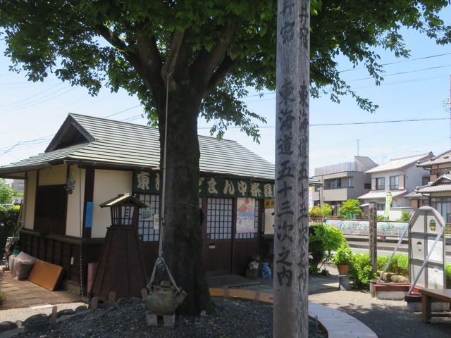 ���C���ǂ܂񒆒���_���C���ǂ܂񒆒���