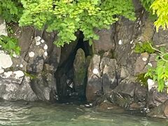 [̏\ac΃p[X|bgN[Yւ̓eʐ^1