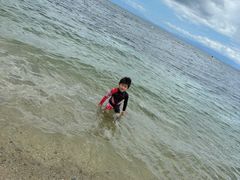 tC{[hi΁@Ђr[`X̎ʐ^1