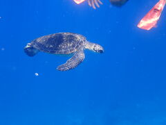 Divers Cafe&Bar 7me̎ʐ^2