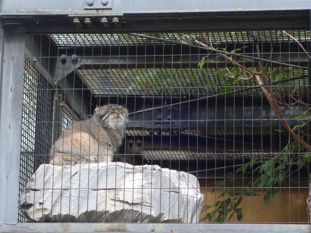 �}�k���l�R_���R������