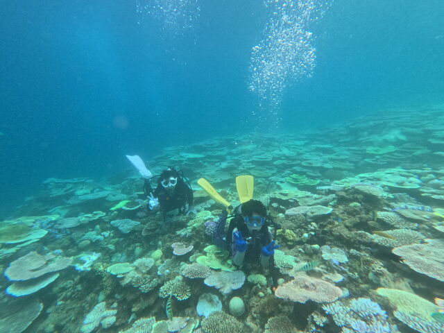 ���꓇�{�[�g�̌��_�C�r���O_�_�C�r���O�V���b�vTI.OCEAN