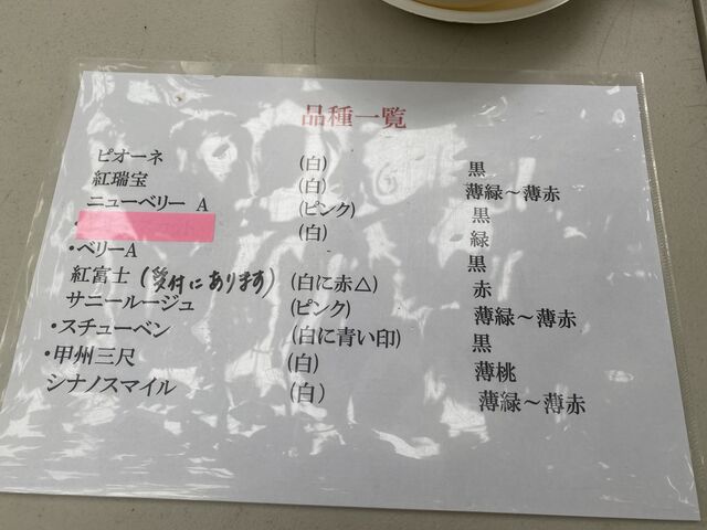 ���ꂾ���̎�ނ�����܂�(*^^*)_�[���̋u�ό��_��(�����s�ό��Ԃǂ��Z���^�[�����x��)