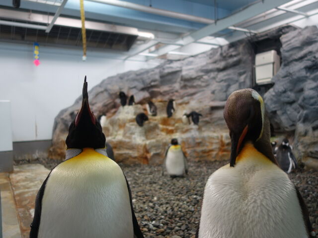 �y���M����_���R������