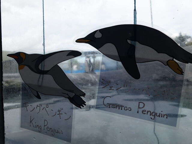 �y���M����_���R������