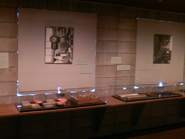 �R�K�W���i_�F�J�����p��