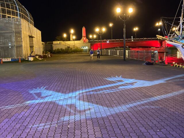 �߂̏Ɩ�_���H�t�B�b�V���[�}���Y���[�tMOO�EEGG