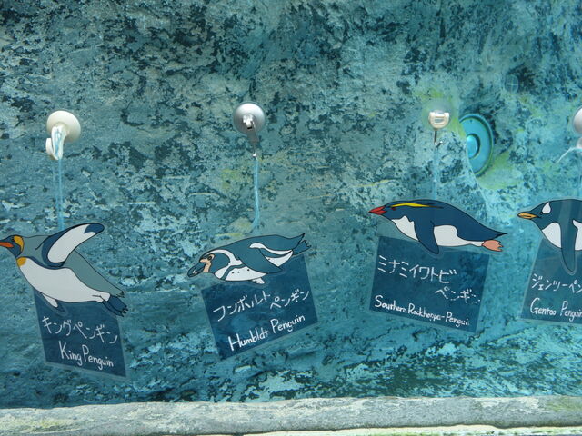 �y���M����_���R������