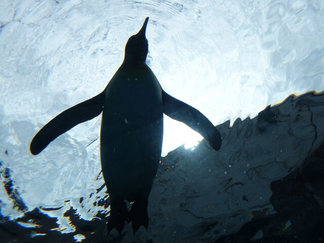 �y���M����_���R������