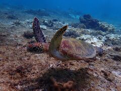 ������񂳂��PolePolemarine385�ւ̓��e�ʐ^1