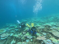 Ȃ̃_CrOVbvTI.OCEANւ̓eʐ^1