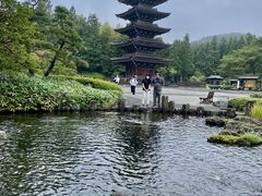 �i�K�V�}����̌���������ւ̓��e�ʐ^2