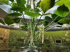 ΂񂳂̌ {ЍHւ̓eʐ^4