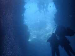 ܂䂳̐̓A@Dive@ւ̓eʐ^2