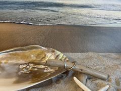 񂳂̔MCтH[ւ̓eʐ^1