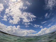 Ȃ̃_Cu (MalDive)ւ̓eʐ^1