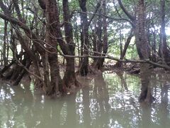 ritu̓ꕶgCuXւ̓eʐ^4